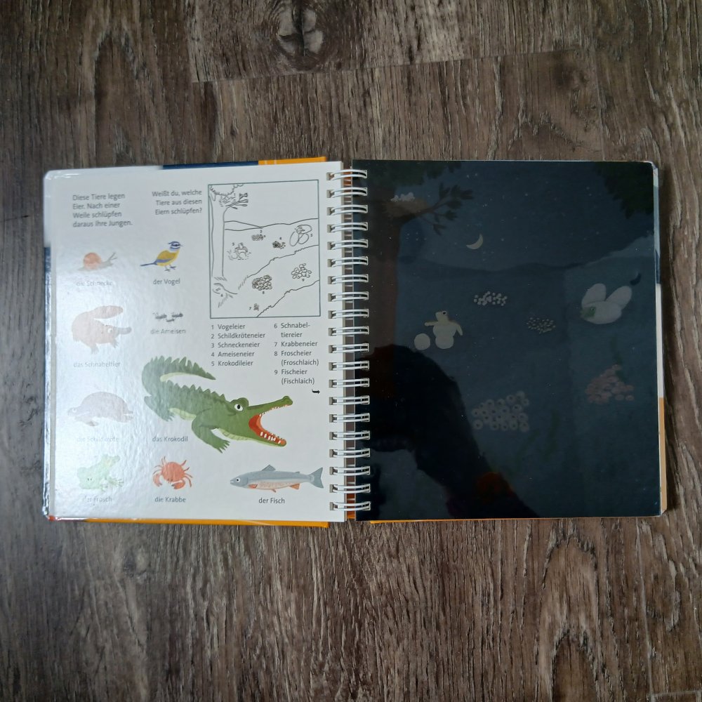 Licht an! Taschenlampenbuch Babys und Tierkinder