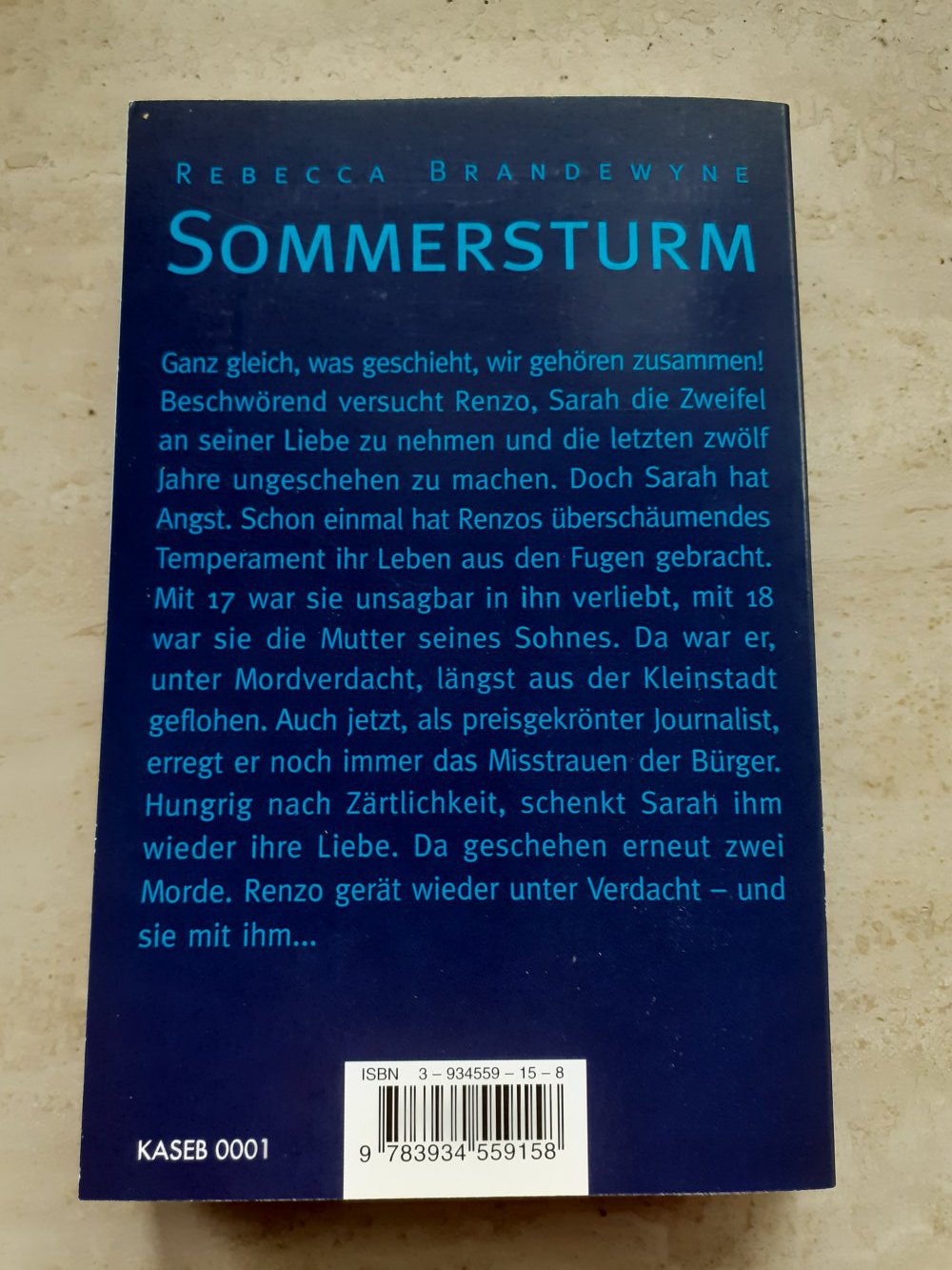 Roman, Sommersturm, Taschenbuch, Zustand wie Neu