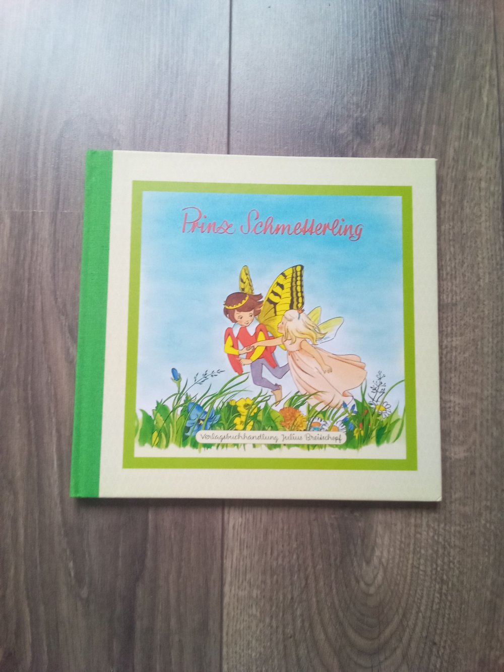 Prinz Schmetterling Buch gebunden Anny Hoffmann Julius Breitschopf