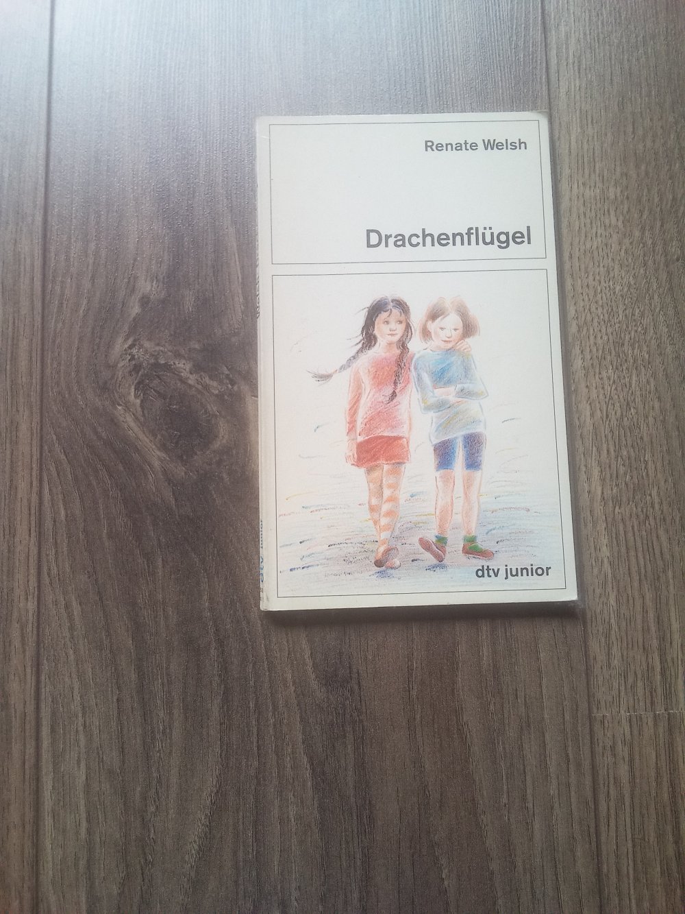Dtv junior Renate Welsh Drachenflügel