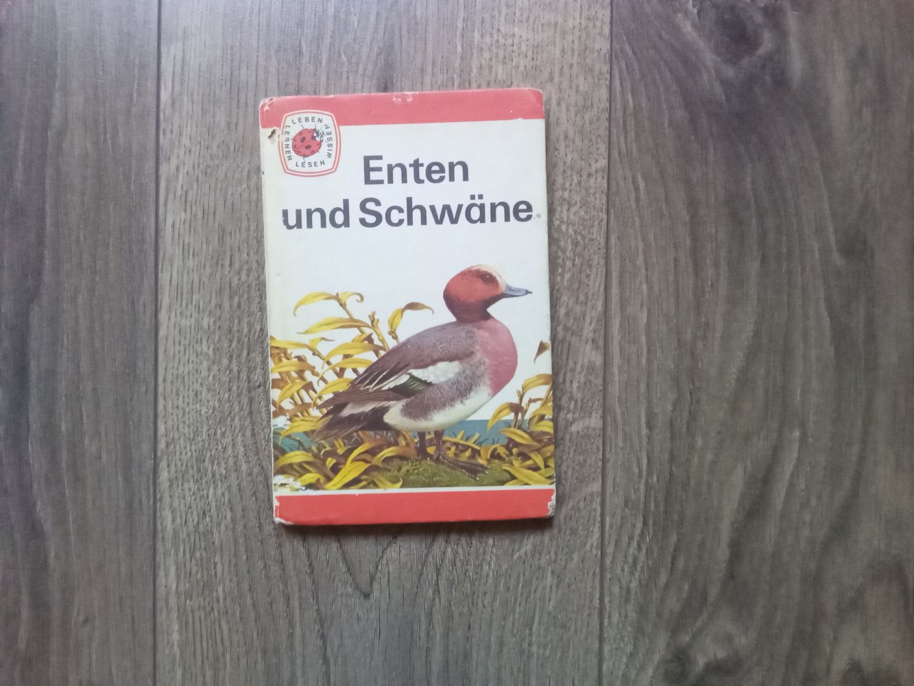 Enten und Schwäne Sachbuch Bd 2 Lesen leben lernen wissen