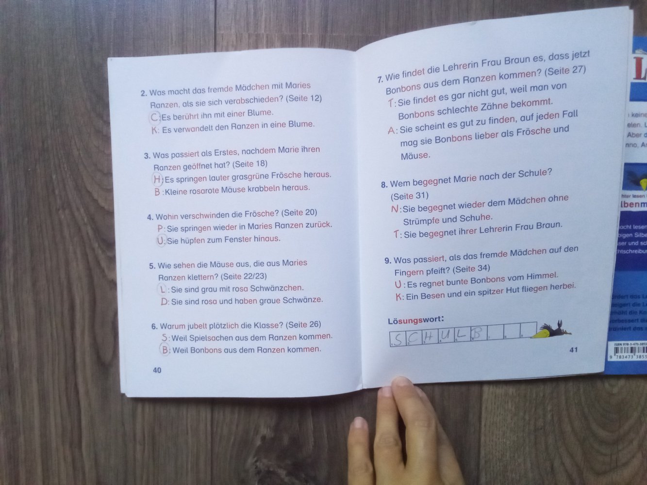 2x Leserabe 1. + 2. Lesestufe Silbenmethode Delfin verhexte Schulranzen
