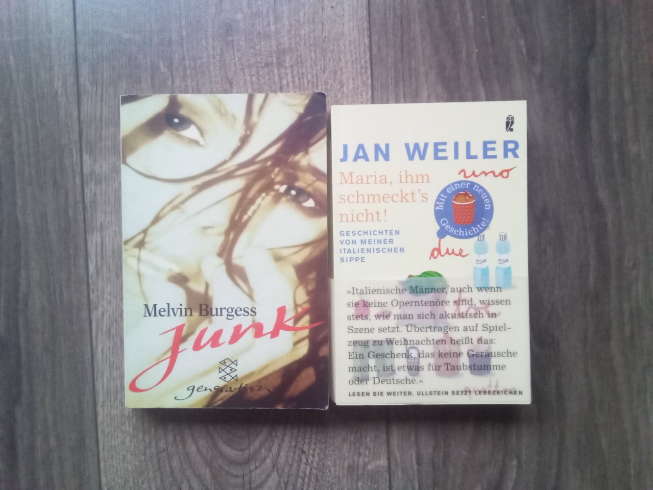 Junk Melvin Burgess Maria ihm Schmeckts nicht Jan Weiler Buch
