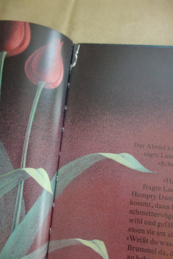 Laura Binette Schröder Nord Süd Verlag Bilderbuch