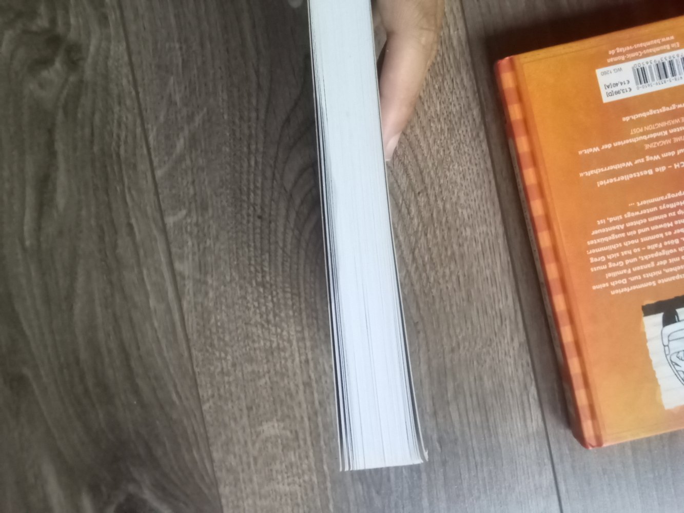 Gregs Tagebuch 8+9 echt übel! böse Falle! Gregs Filmtagebuch endlich berühmt! Jeff Kinney Baumhaus Verlag Comic-Roman 