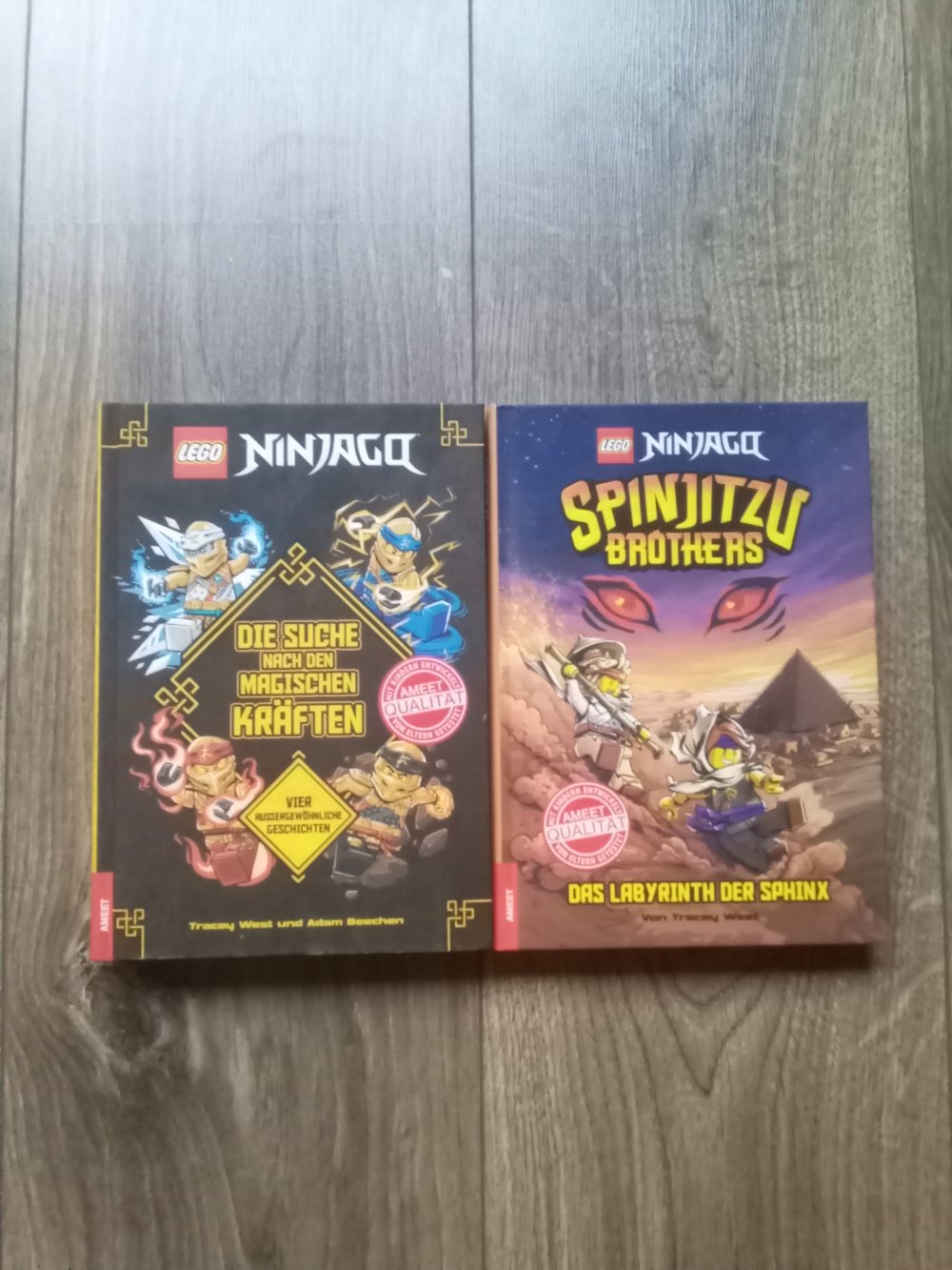 LEGO Ninjago Buch Spinjitzu Brothers Das Labyrinth der Sphinx Band 3 Die Suche nach den magischen Kräften Tracey West 