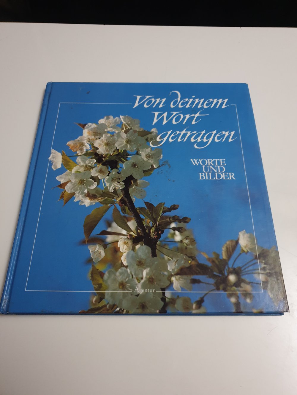Von deinem Wort getragen 