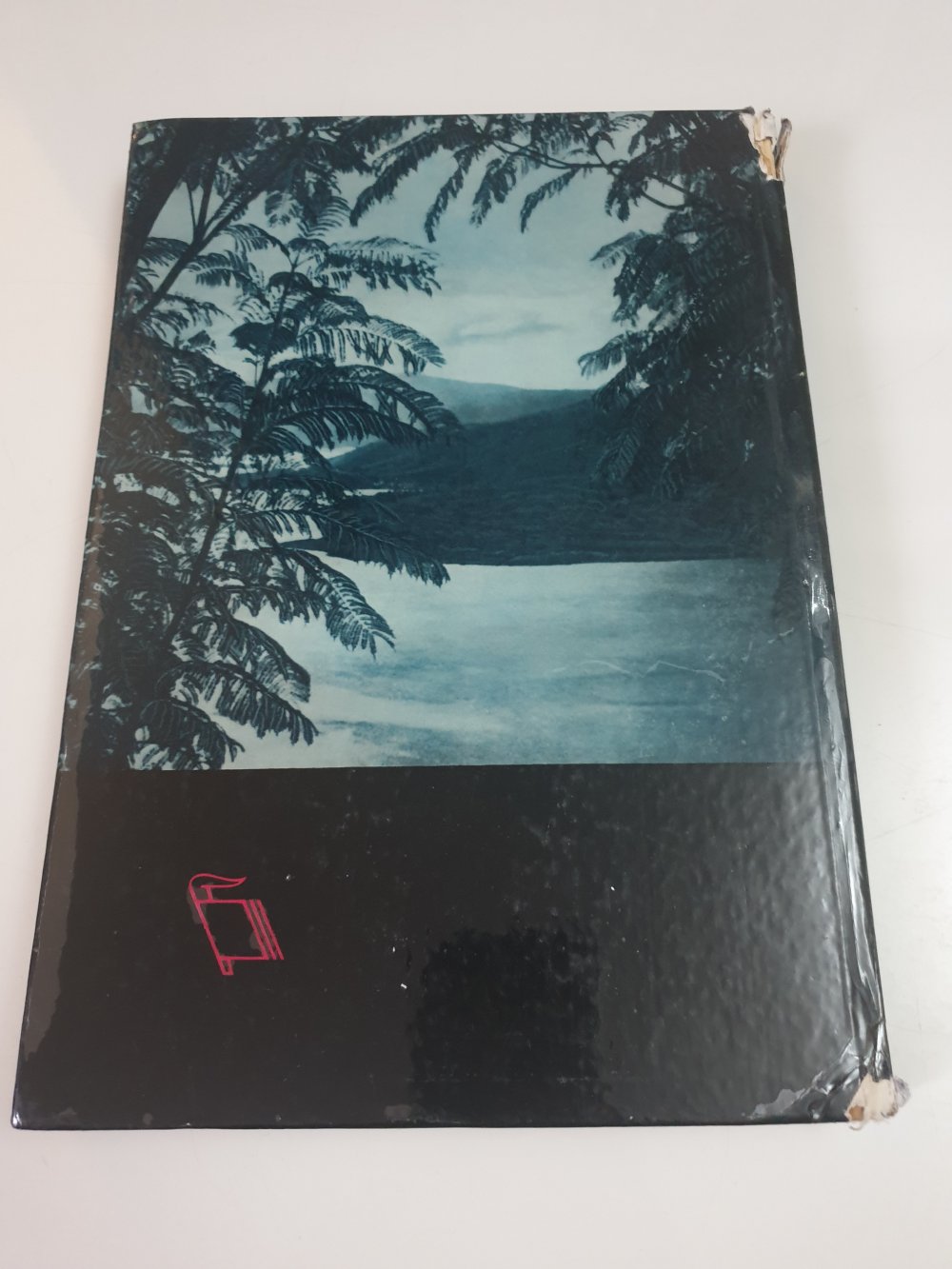 Vulkane am Karibischen Meer - Peter Lorf