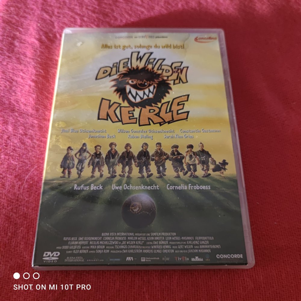 Die wilden Kerle