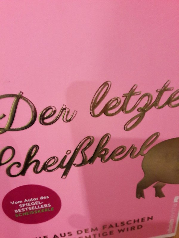 Buch der letzte Scheißkerl von Roman Maria Koidl