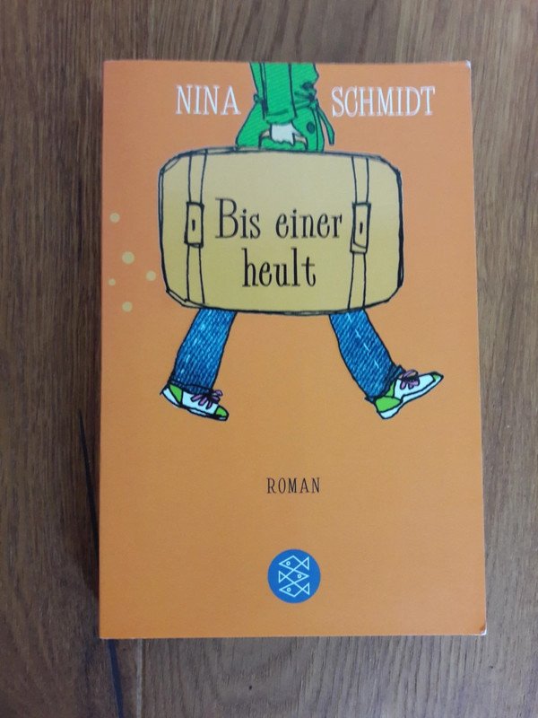 Roman Bis einer heult von Nina Schmidt