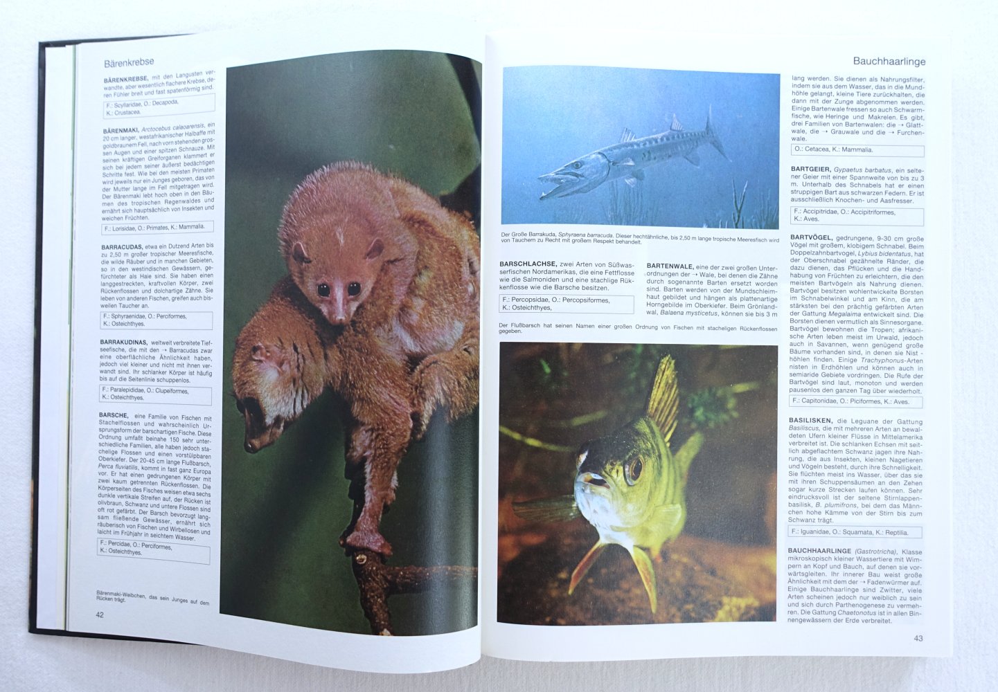 Lexikon der Tiere von A-Z - Dr. Günther Michler