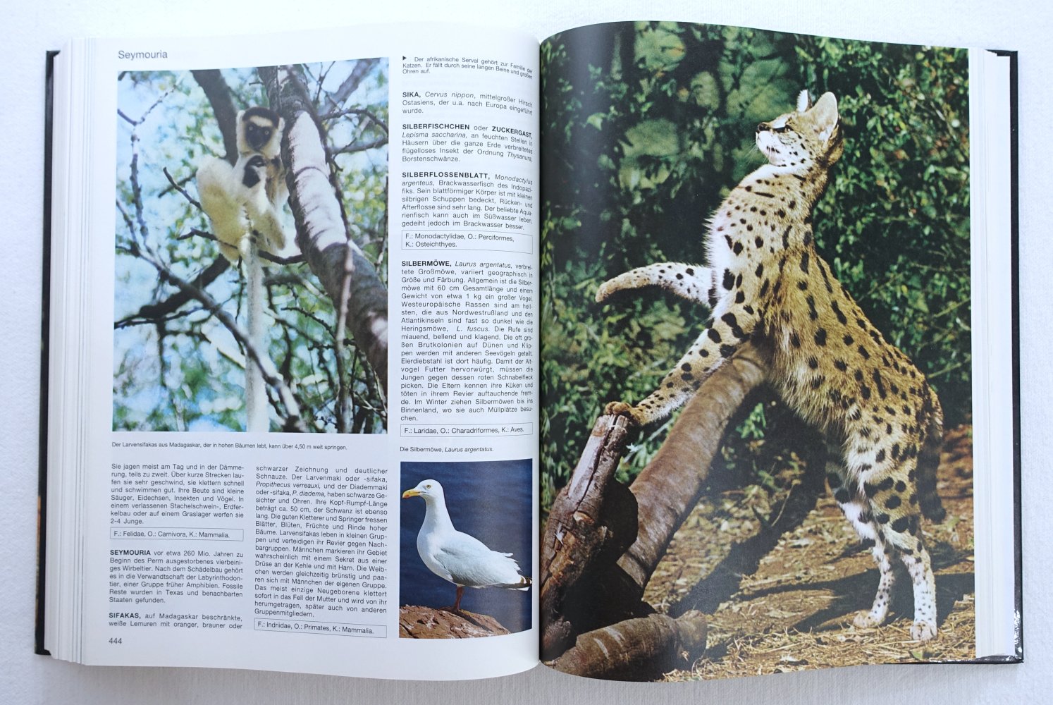 Lexikon der Tiere von A-Z - Dr. Günther Michler
