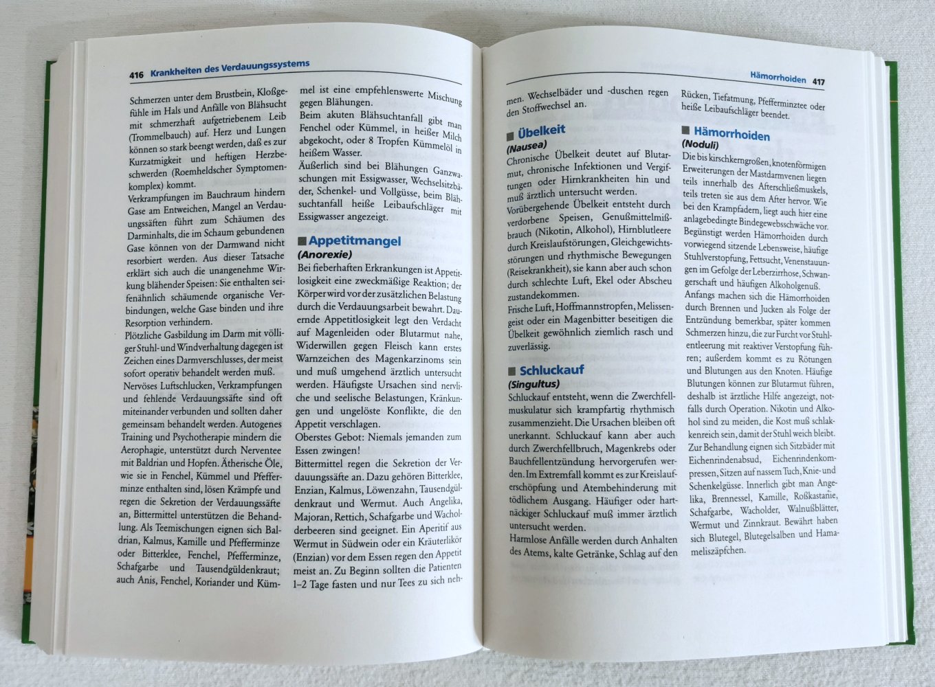 Moderne Naturheilpraxis - Verfahren der Biomedizin - G. Leibold