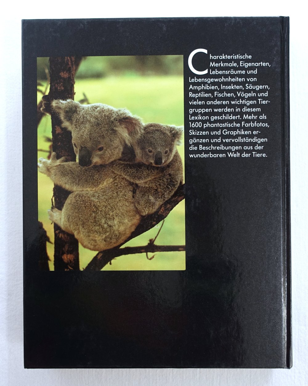 Lexikon der Tiere von A-Z - Dr. Günther Michler