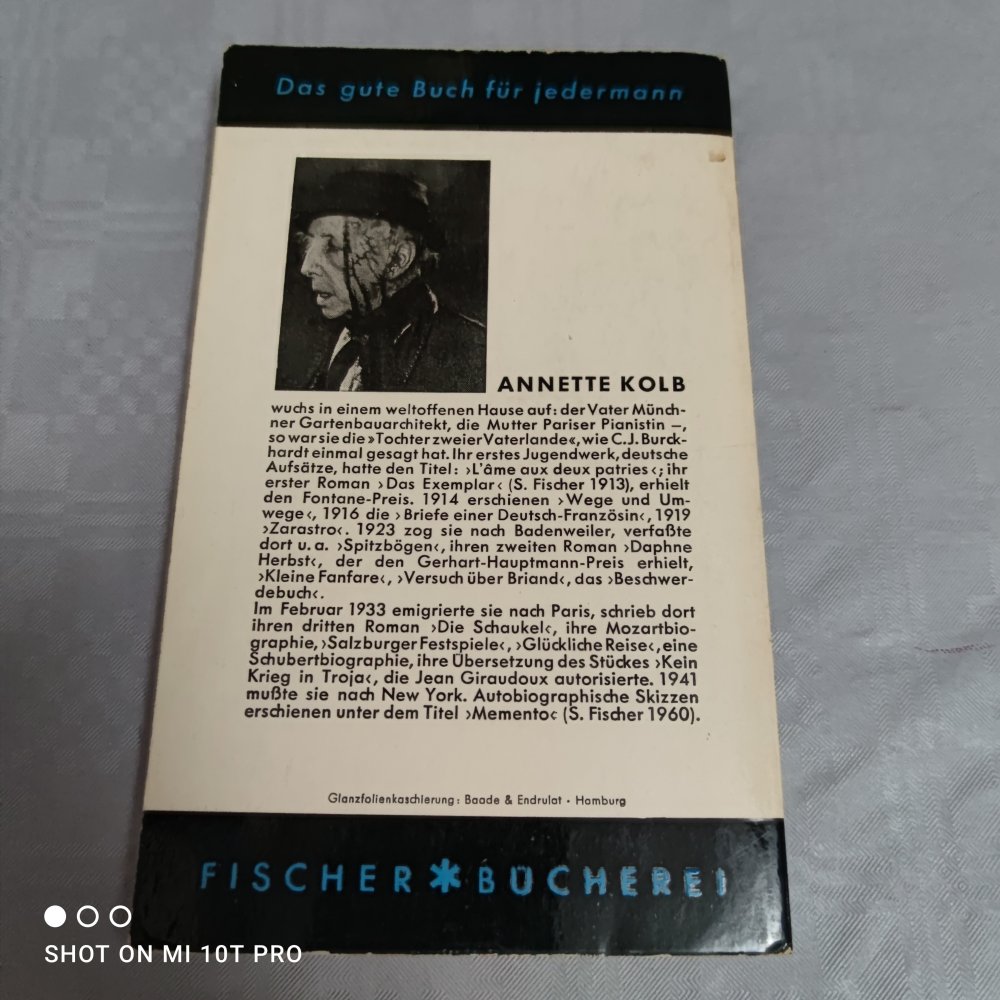 Die Schaukel - Annette Kolb