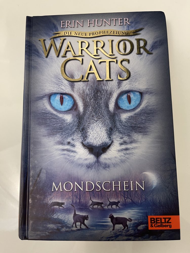 Warrior Cats - Mondschein