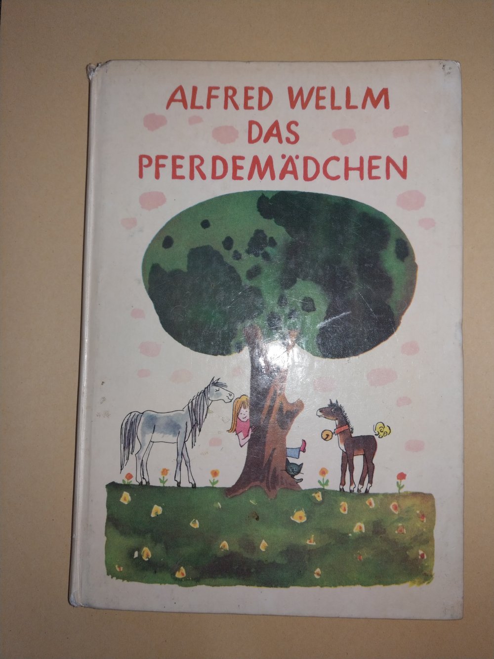 Buch 