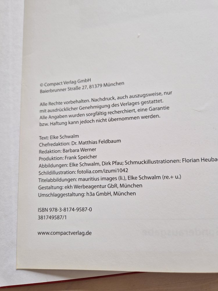 Schnitzen für Kinder  - Tolle Ideen aus Holz