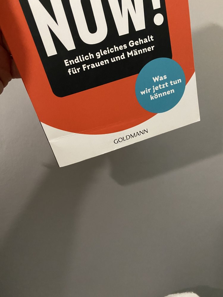 Birte Meier Equal Pay Now! l Feminismus Sachbuch