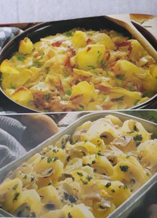 Buch Aufläufe Rezeptbuch Auflauf Kochbuch