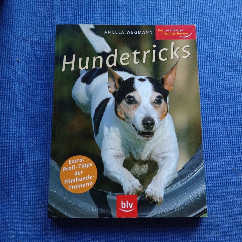 Hundetricks - Angela Wegmann