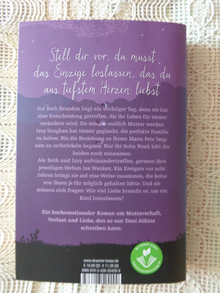 Buch - Roman - Wohin der Himmel uns führt - Mängelexemplar