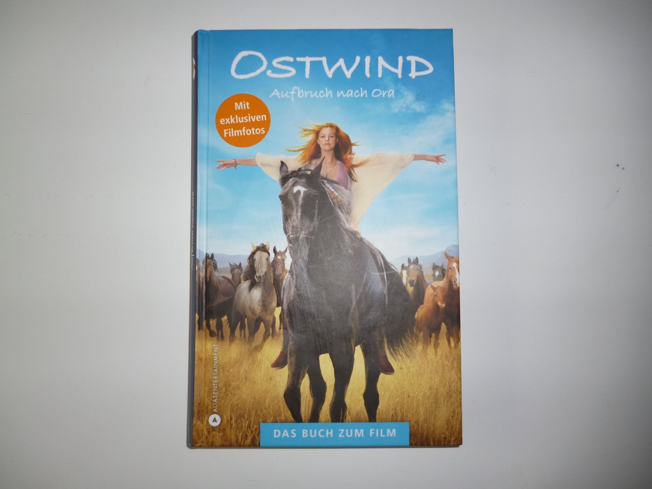 Buch: 