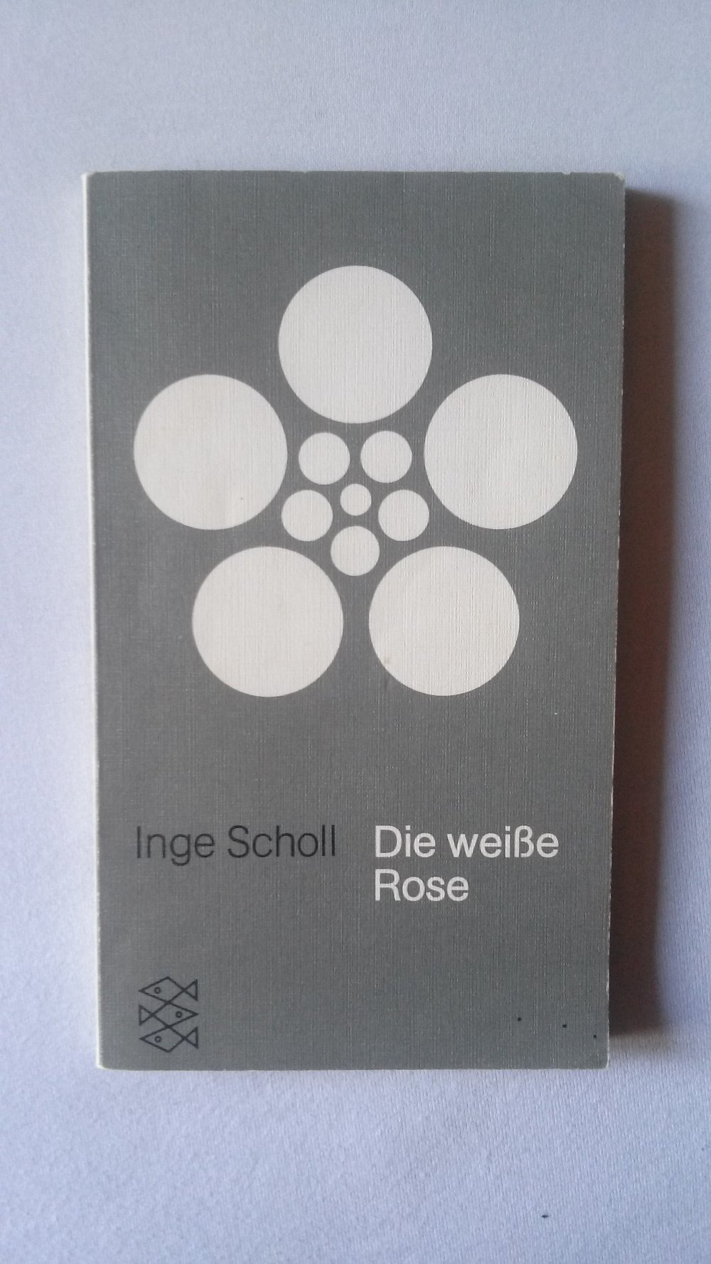 Die weiße Rose