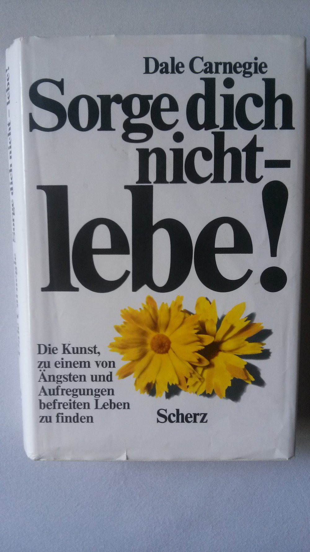 Sorge dich nicht, lebe! Buch, Motivation, angstbefreit, Sorgen
