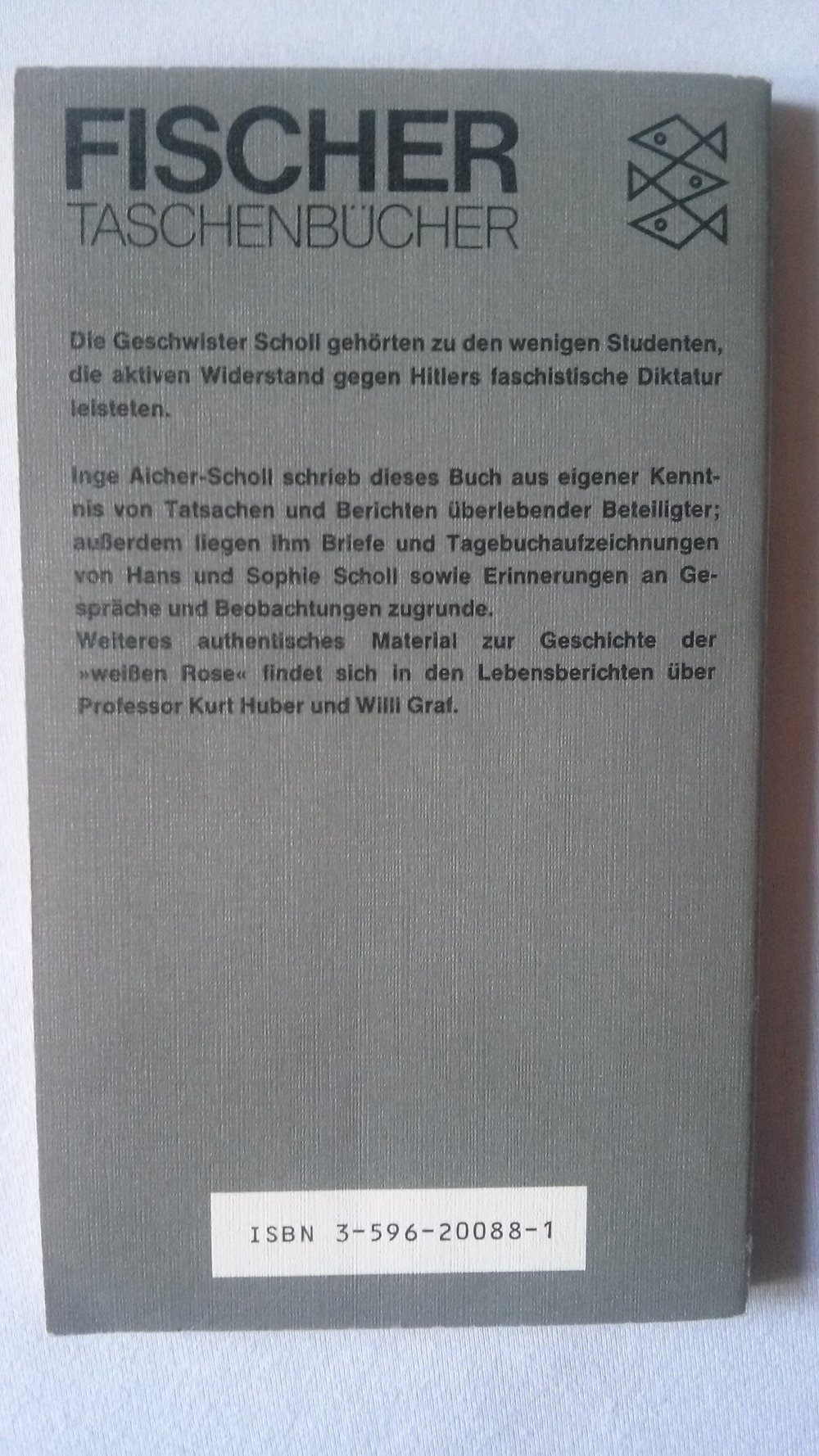 Die weiße Rose