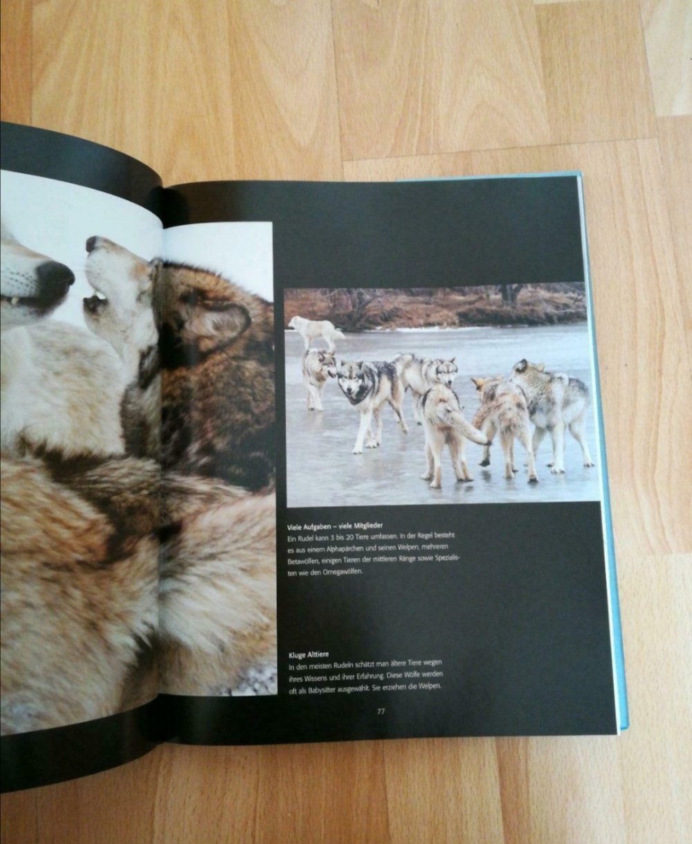 Der Wolf Bildband & Sachbuch 