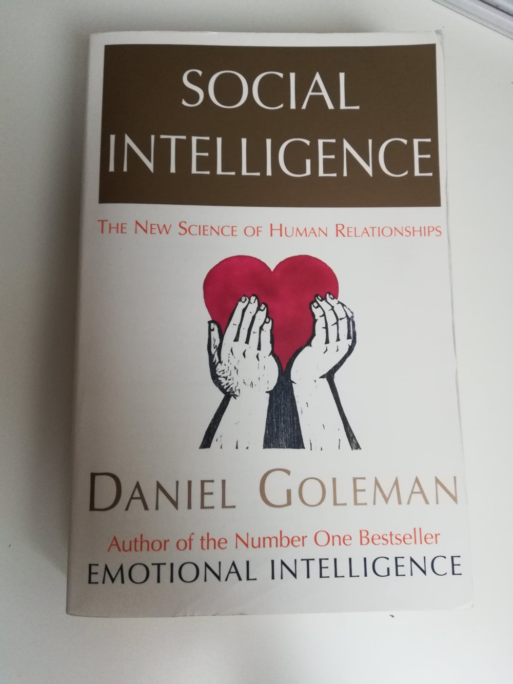 Social Intelligence by Daniel Goleman