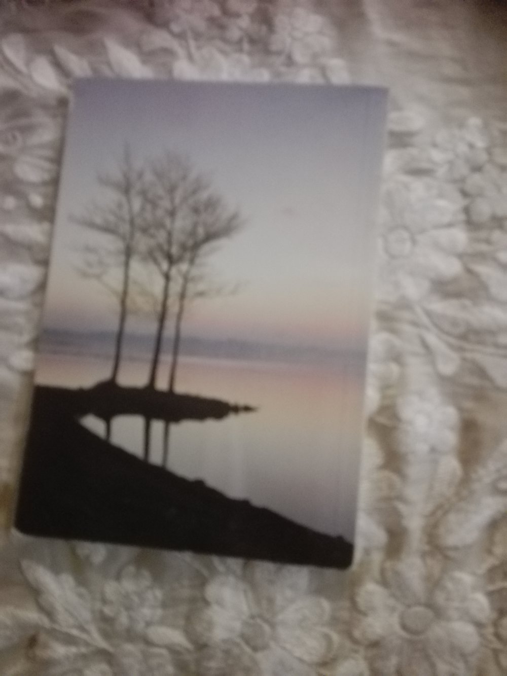 Starnberger See