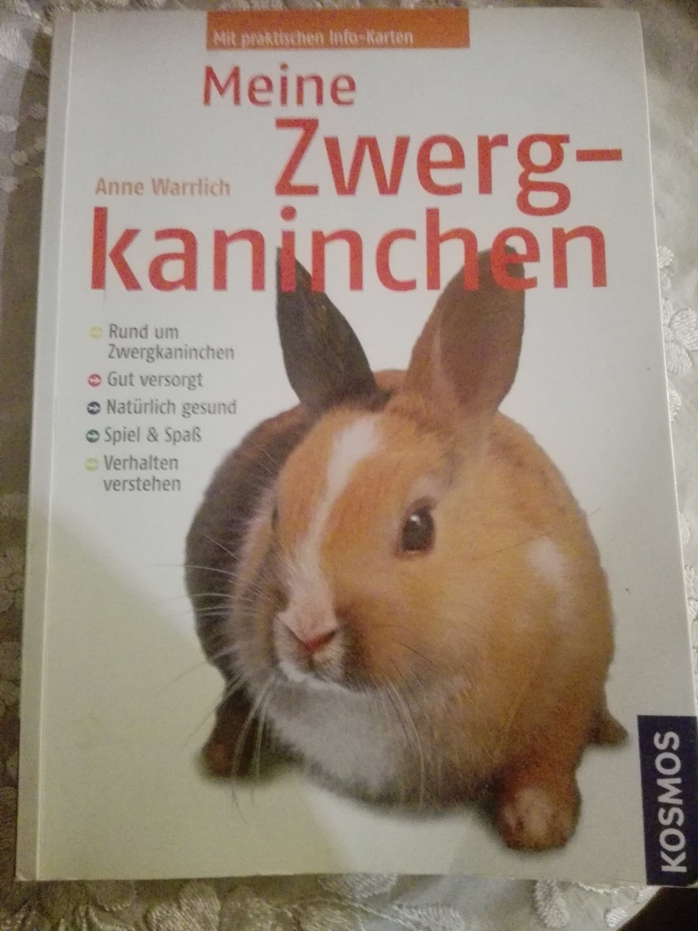 Meine Zwergkaninchen