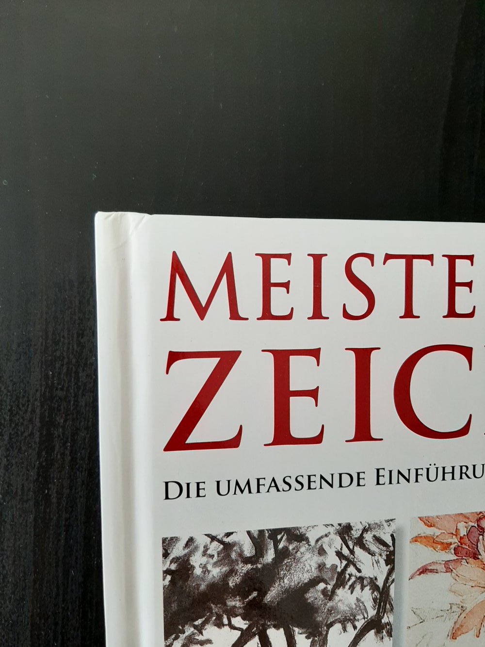 Meisterschule Zeichnen: Die umfassende Einführung in die Kunst des Zeichnens