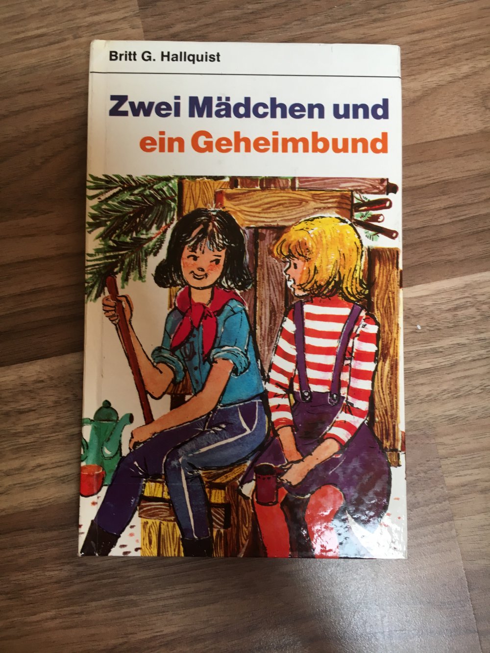 Zwei Mädchen und ein Geheimbund 