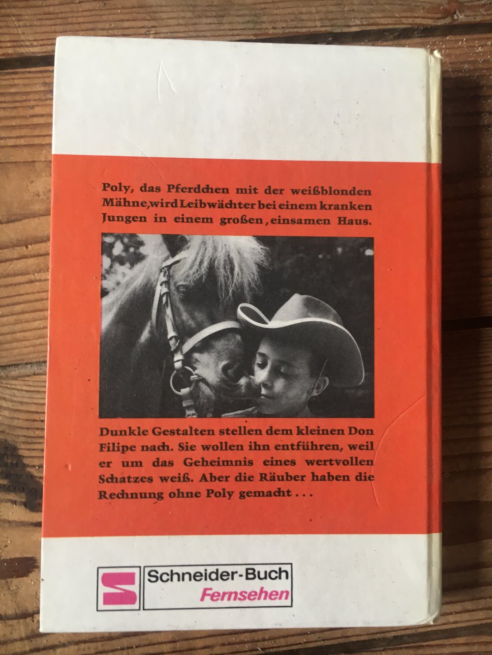 Poly (Gebundenes Buch)