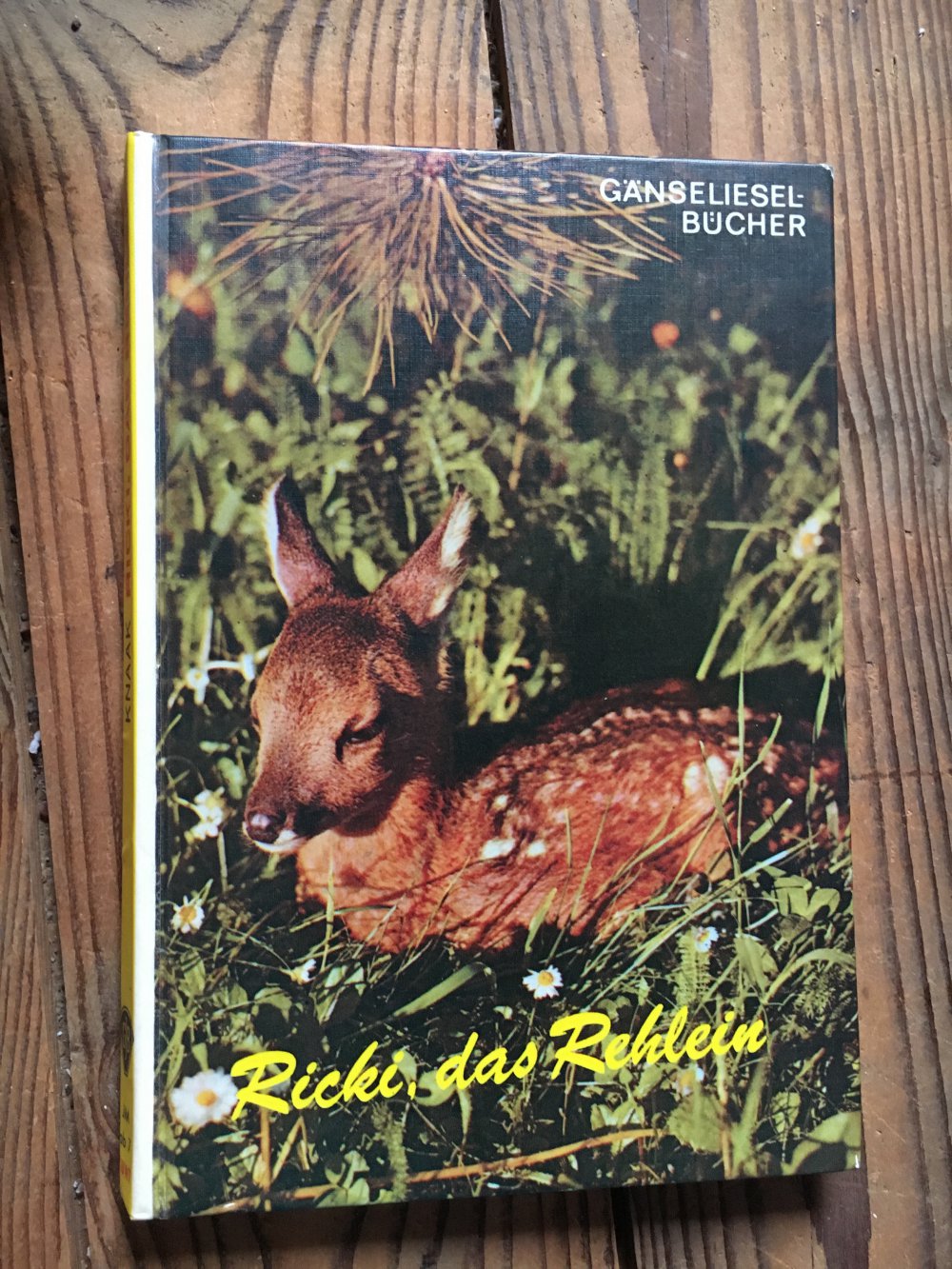 Ricki, das Rehlein