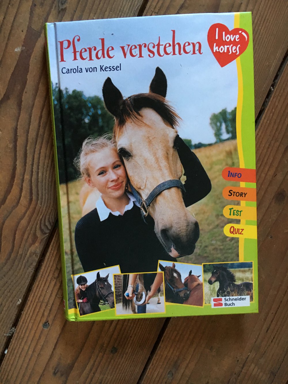 Pferde verstehen