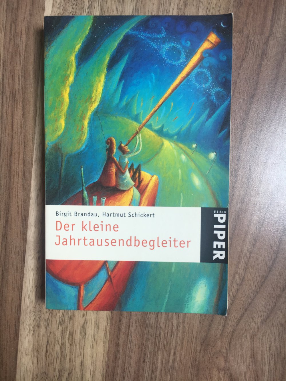 Der kleine Jahrtausendbegleiter