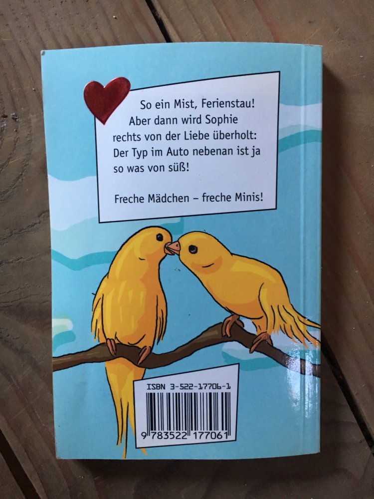 Märchenprinz im Ferienstau