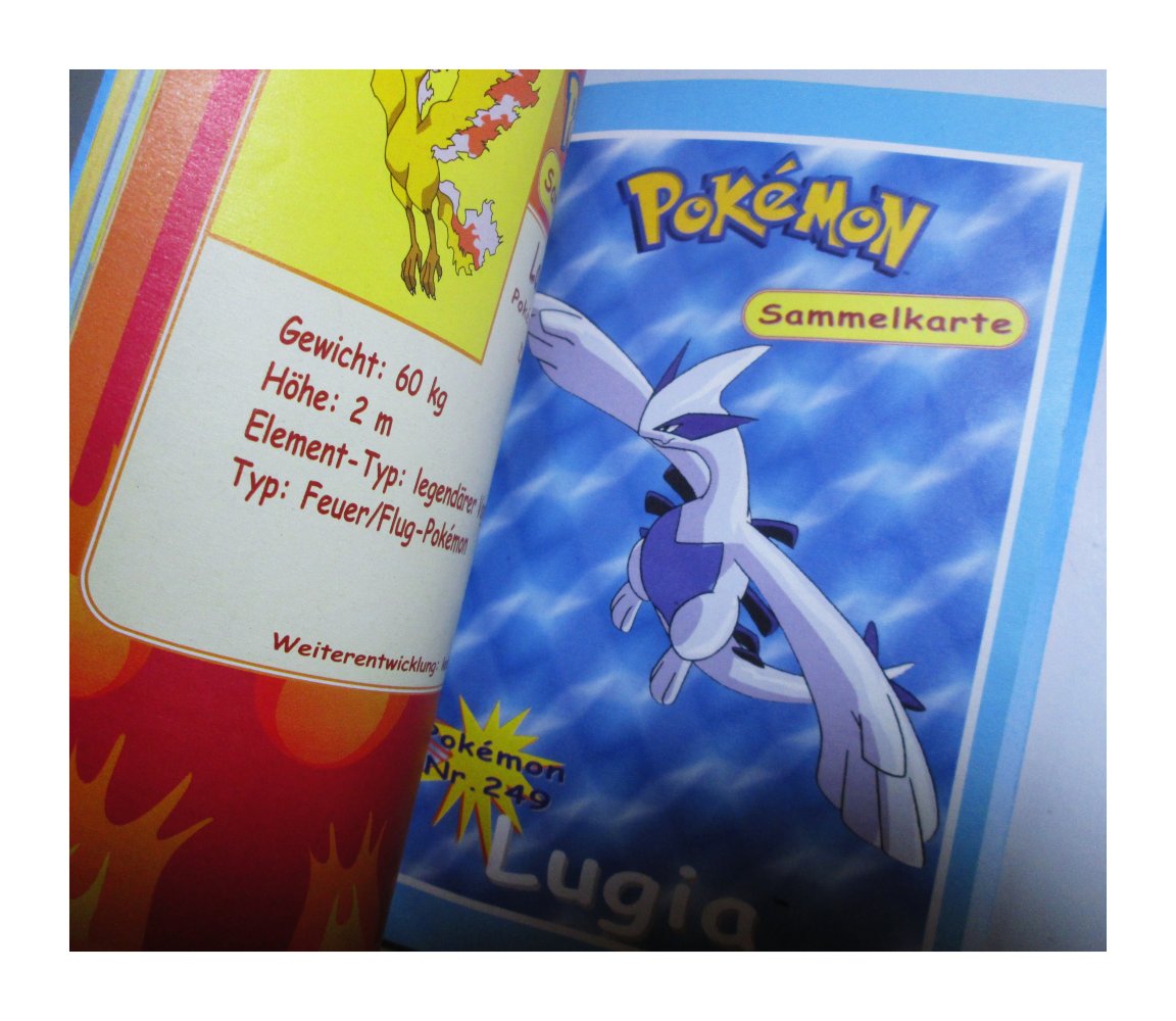 Pokemon Fanbuch 2000er