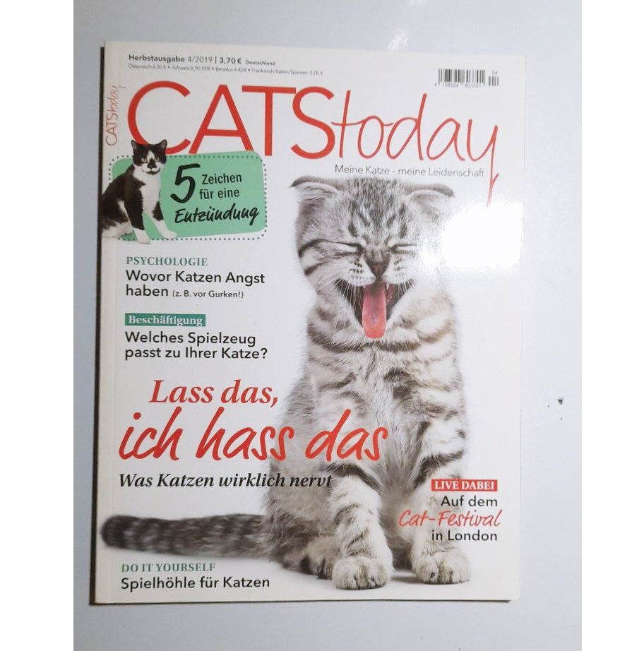 Cats Today Katzen Kitten Magazin Zeitschrift 