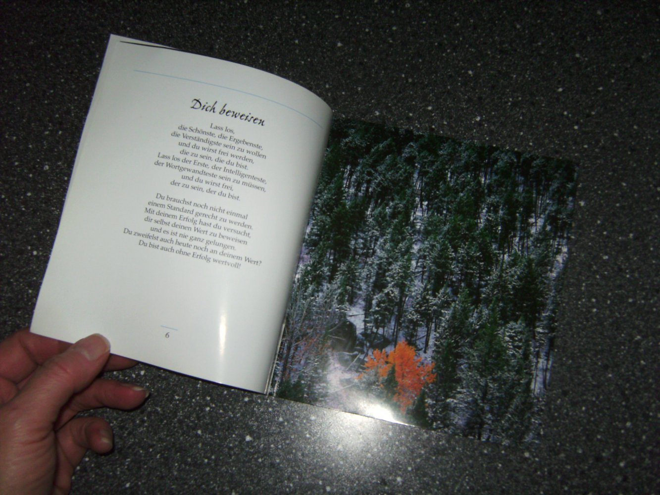 Verschenke, Handbuch, Wishes, Fotos, Impressionen und Sprüche, Lass dich Los, kostenlos für Sammelbesteller als Gratisgoodie