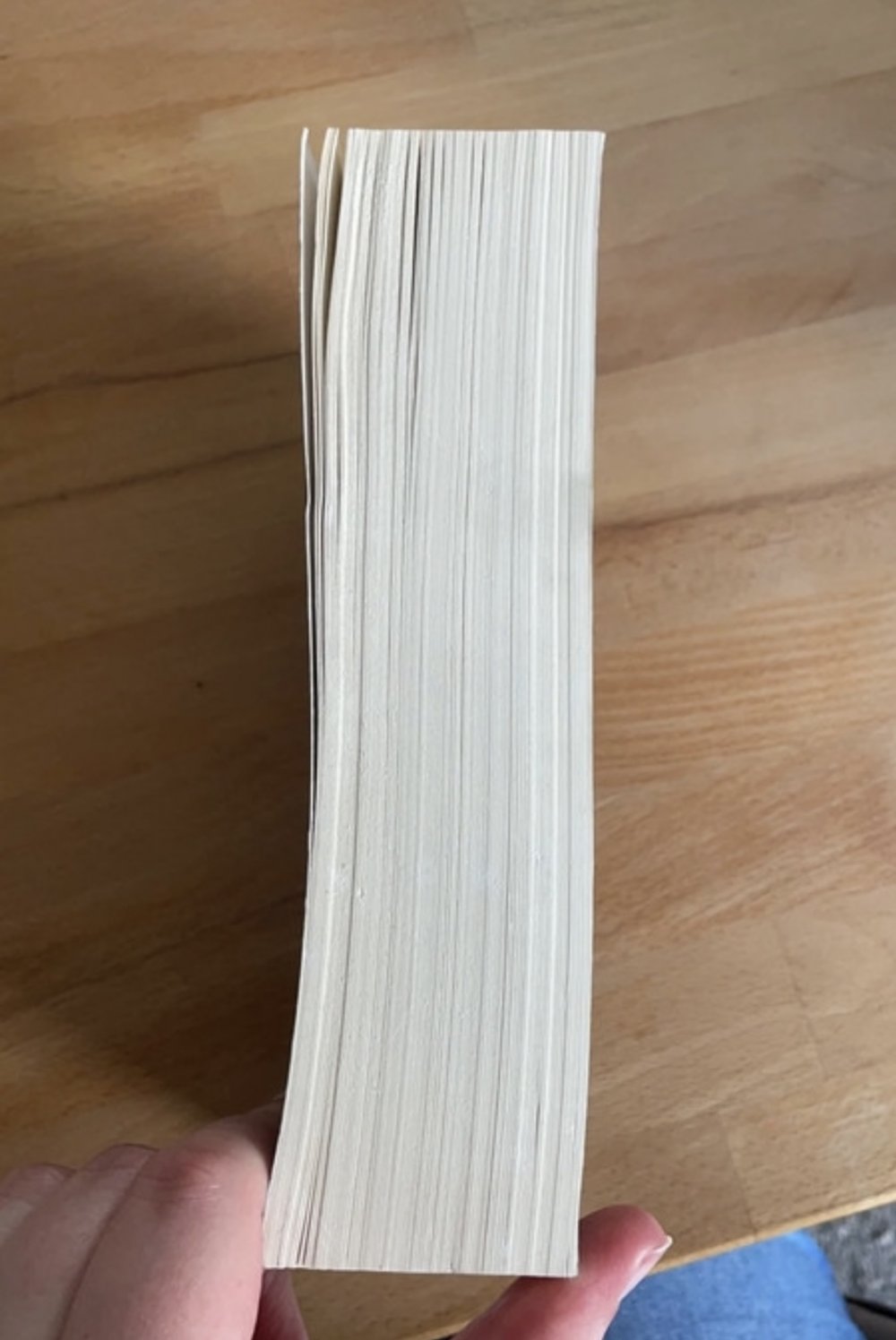 Buch Merlins Fluch