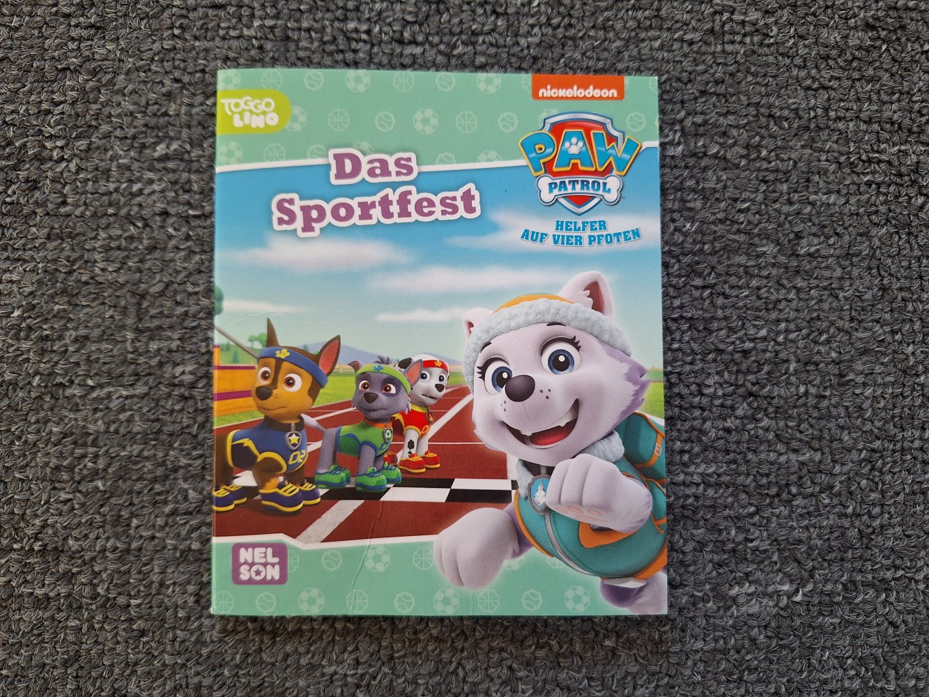 16 Paw Patrol Hefte