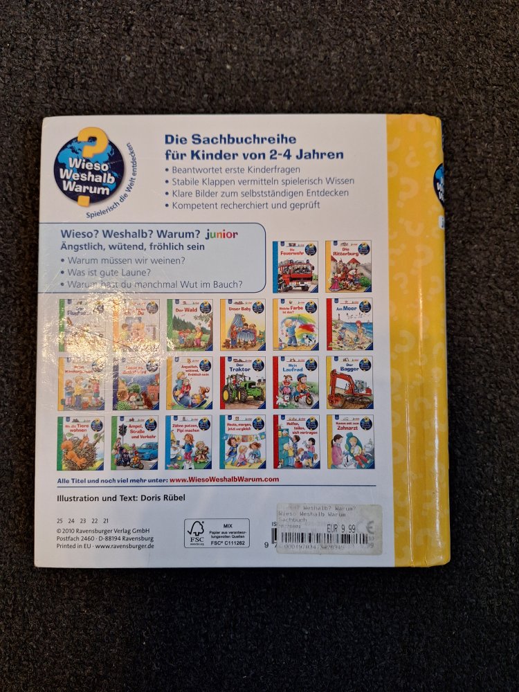 Klappenbuch Wieso weshalb warum 2-4 