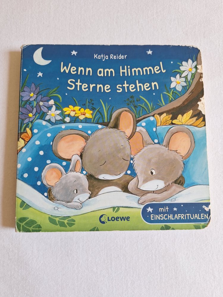 Kinderbuch 