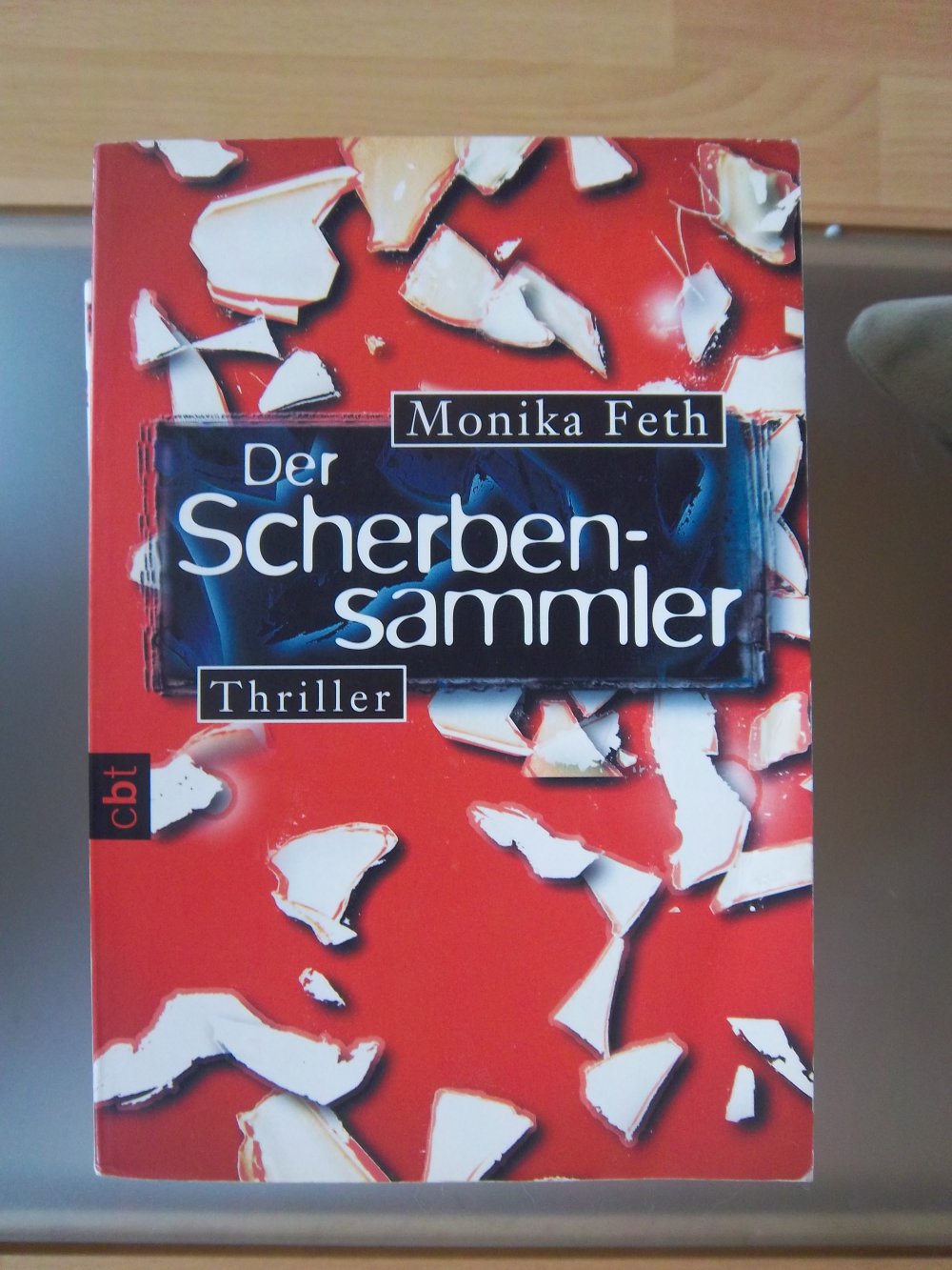 Der Scherbensammler 